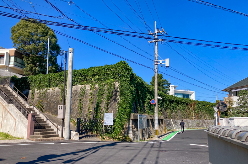 【高宮4丁目】深い緑に癒やされる。高台の住宅街を散歩 葉っぱが生い茂った塀