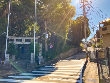 【高宮4丁目】深い緑に癒やされる。高台の住宅街を散歩