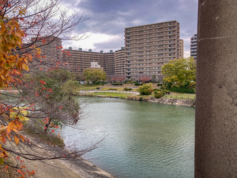 【清水2丁目・美野島】「きよみ立体橋」から見る、冬の美野島 美野島南公園のステージ側