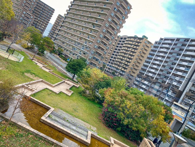 【清水2丁目・美野島】「きよみ立体橋」から見る、冬の美野島 美野島南公園の池