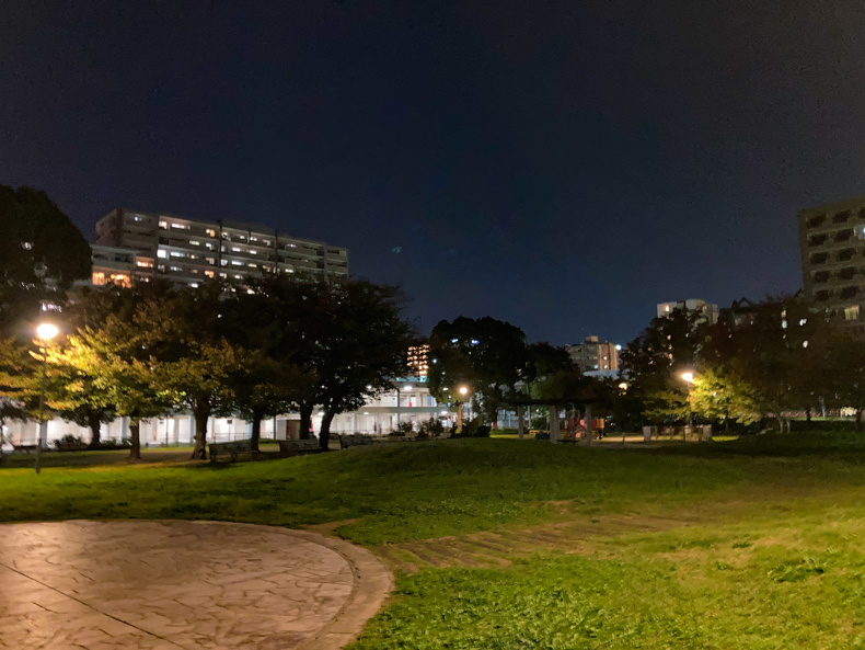 【博多区】「美野島公園」で夜散歩。静寂に響くゴルフ音を楽しむ 公園には緑が多い