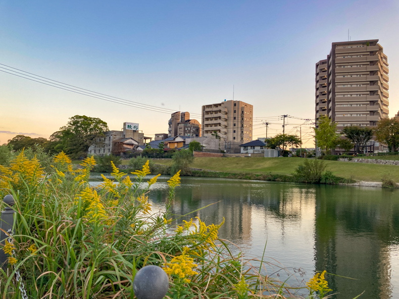 【博多区竹下】バス停「塩原橋」そばの河原を散歩 対岸のマンションも素敵