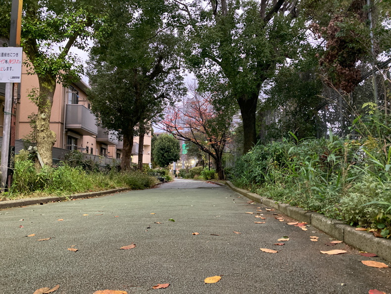 【博多区】「美野島緑道」を散歩 趣のある道