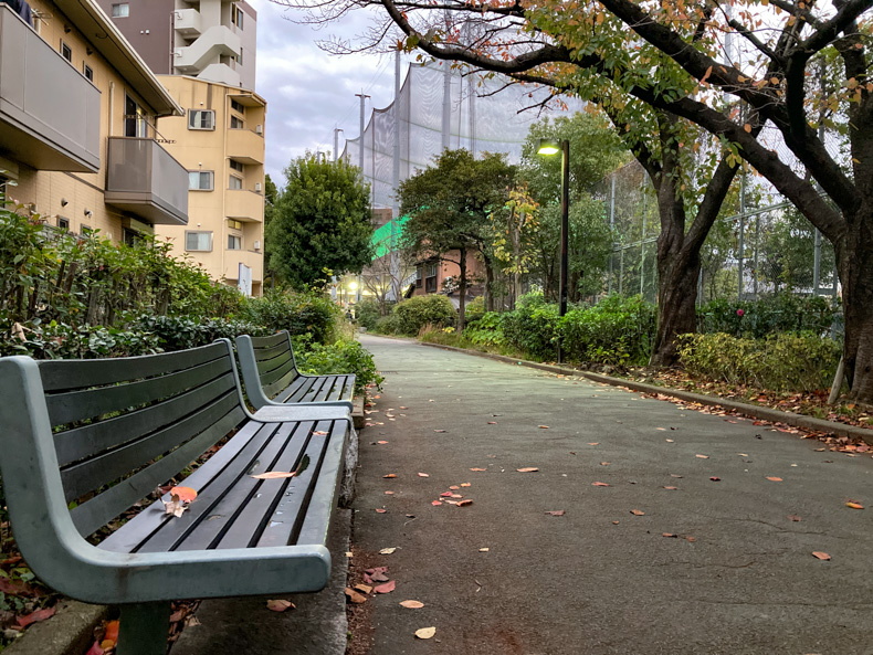 【博多区】「美野島緑道」を散歩 ベンチもあるので休憩できる