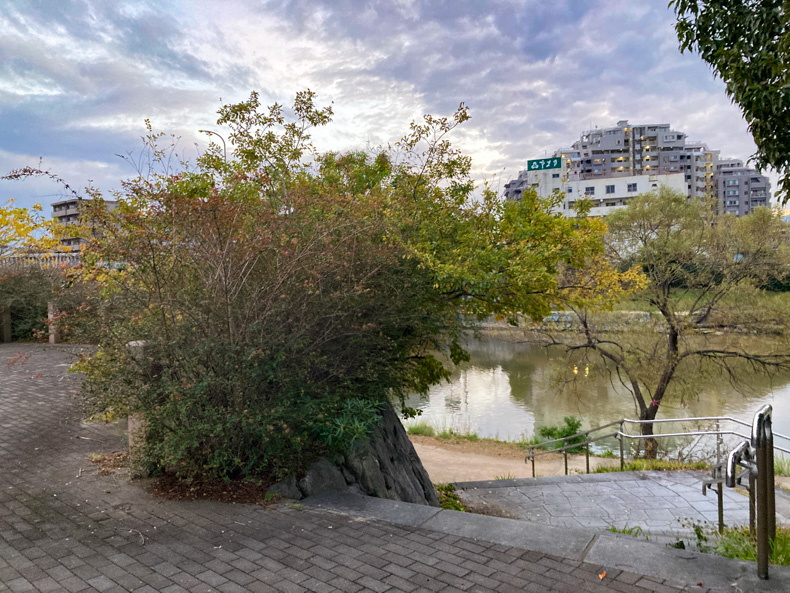 【博多区美野島】バス停「パナソニック前」近辺を散歩 河川敷への道
