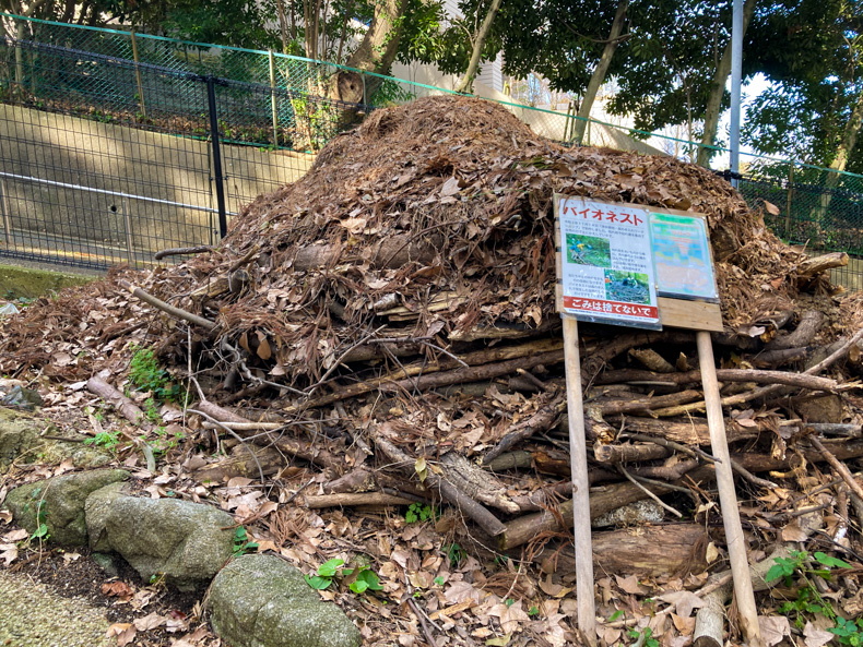 【中央区平尾】「浄水緑地」住宅街にある避暑スポット バイオネスト