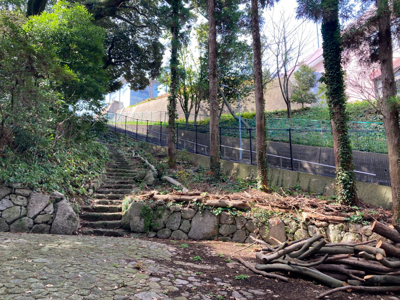 【中央区平尾】「浄水緑地」住宅街にある避暑スポット 折れ木と階段