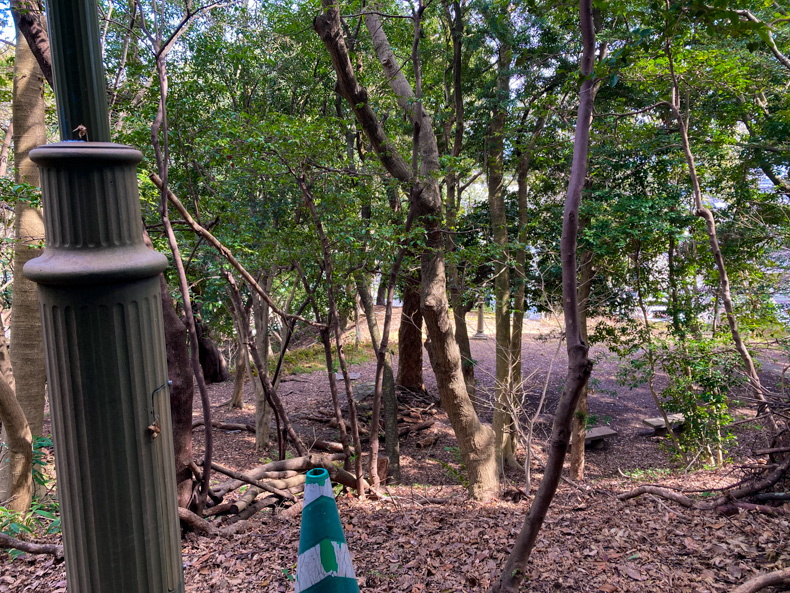 【中央区平尾】「浄水緑地」住宅街にある避暑スポット 緑地