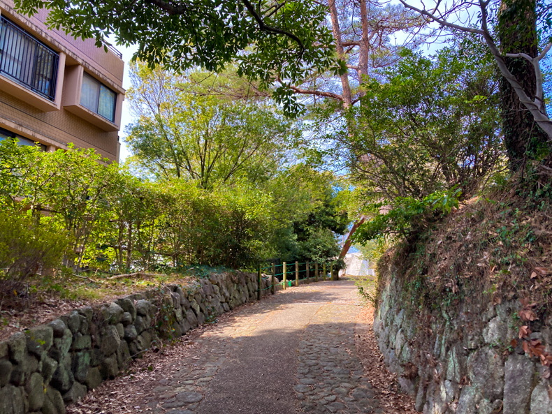 【中央区平尾】「浄水緑地」住宅街にある避暑スポット 浄水緑地公園へ続く道