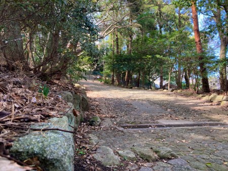 【中央区平尾】「浄水緑地」住宅街にある避暑スポット