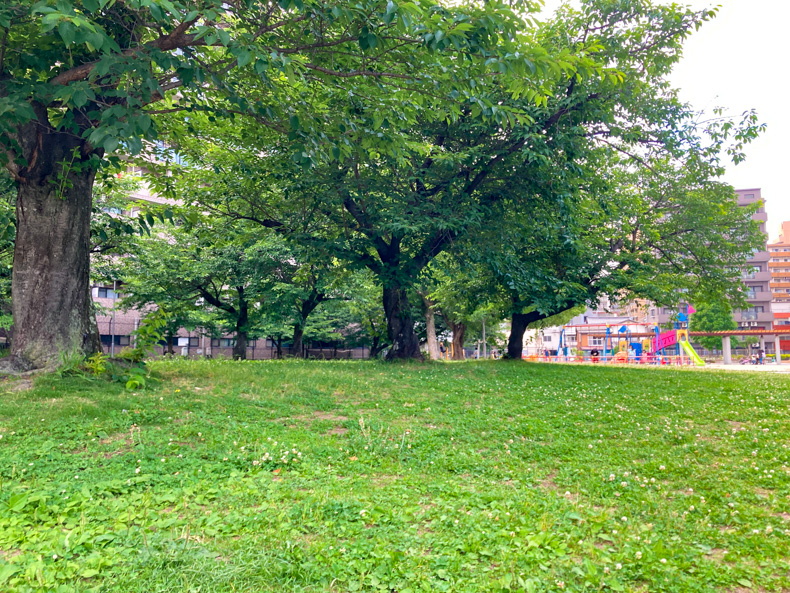 【博多駅前4丁目】「東領公園」を散策 緑地