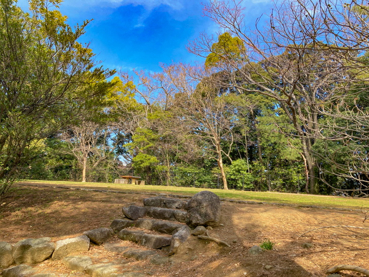【中央区平尾】「浄水緑地公園」丘上にあるシンプルな公園 浄水緑地の険しい坂を登りきった景色