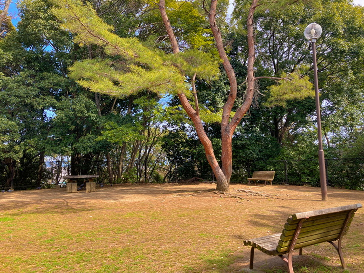 【中央区平尾】「浄水緑地公園」丘上にあるシンプルな公園 ベンチが3つ