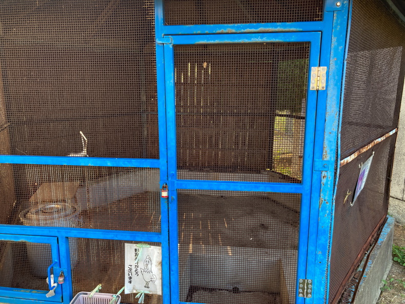 【みやま市高田町】2023年に閉校した開小学校【思い出の場所】 ニワトリ小屋